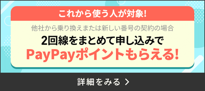 LINEMO 2回線まとめて申し込みでPayPayポイントもらえる