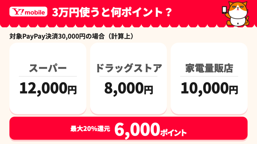 スーパー・ドラッグストア・家電量販店で合計3万円使うPayPay決済例